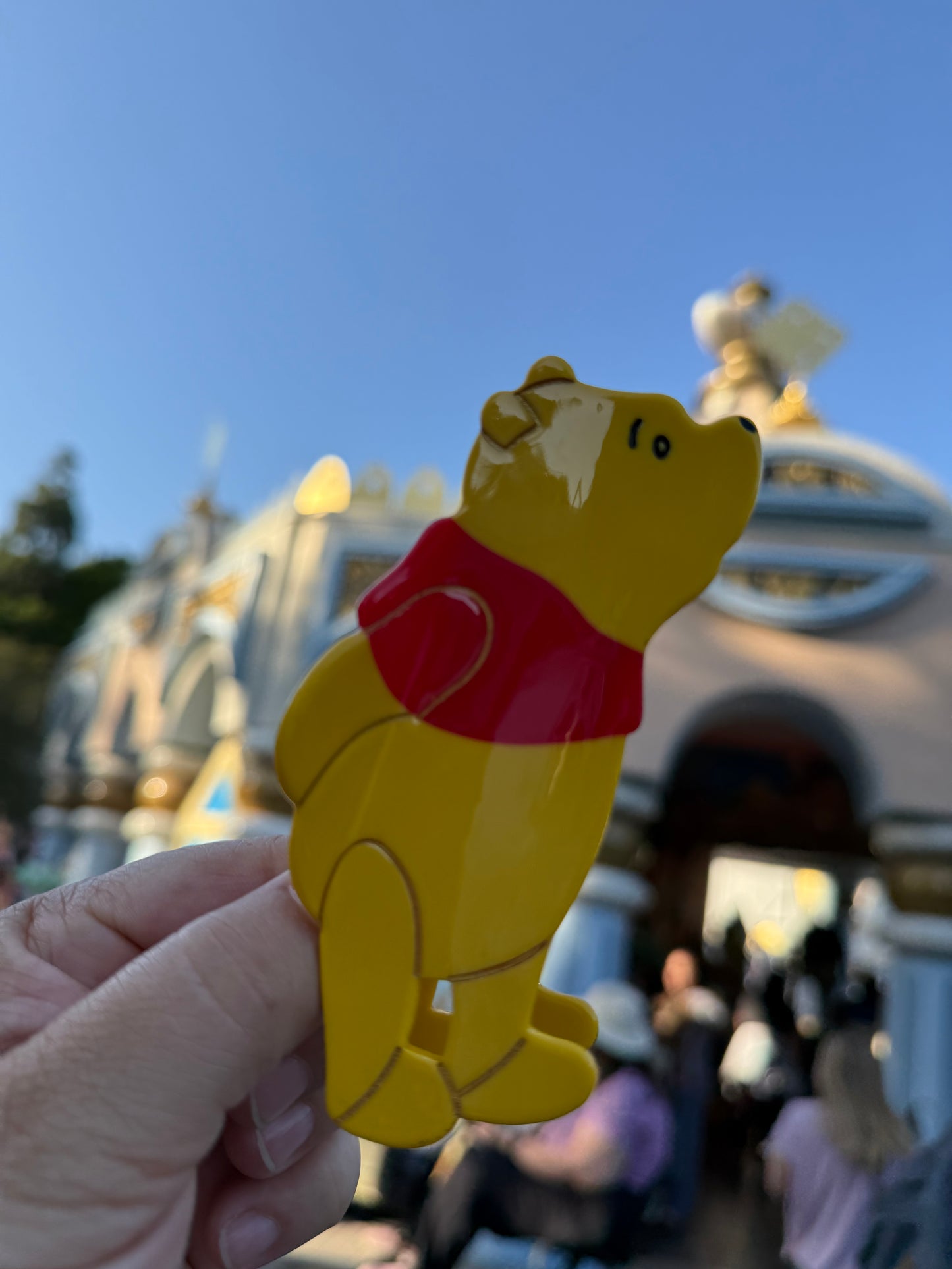 Winnie the Pooh Claw Clip