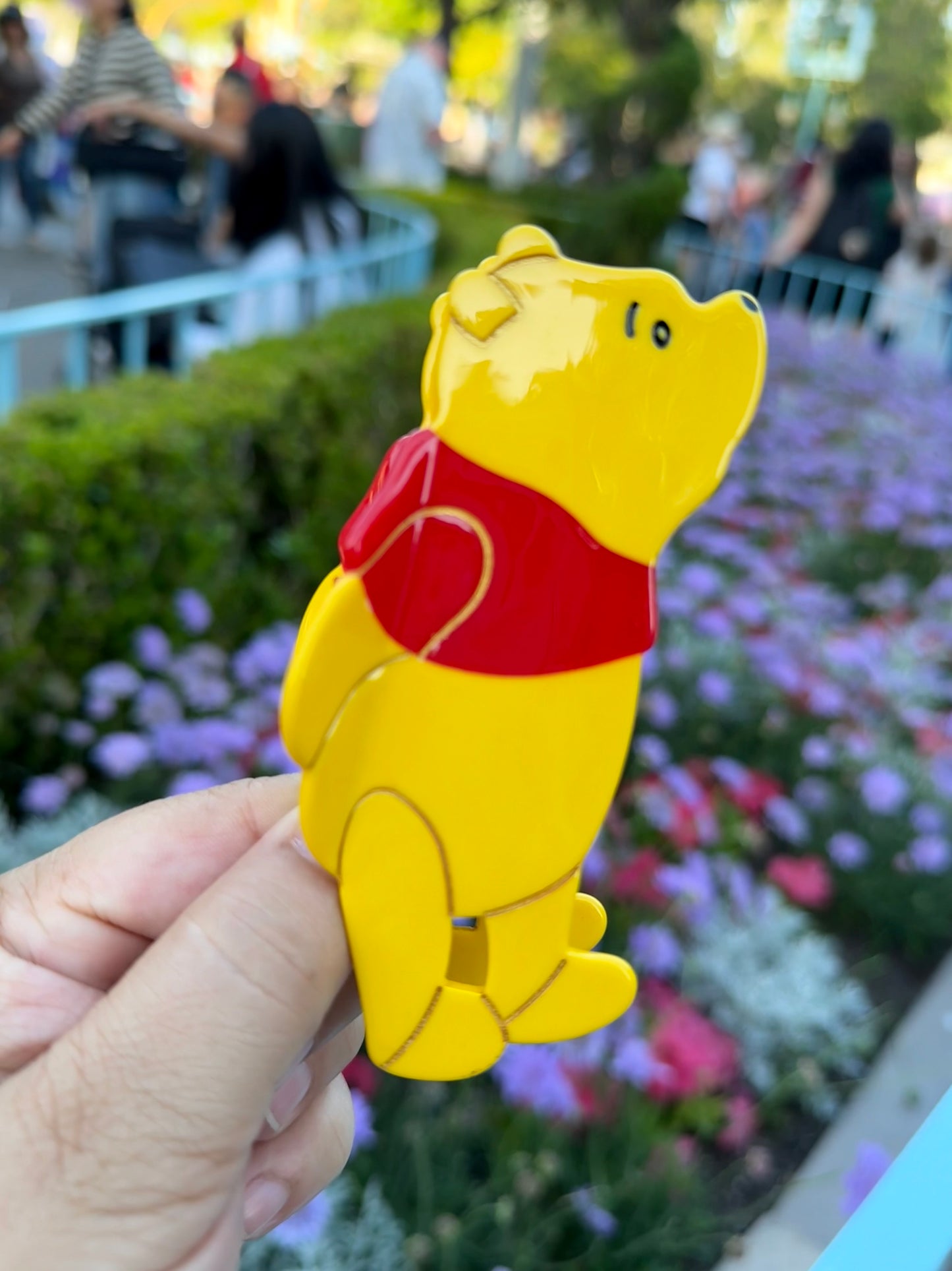 Winnie the Pooh Claw Clip