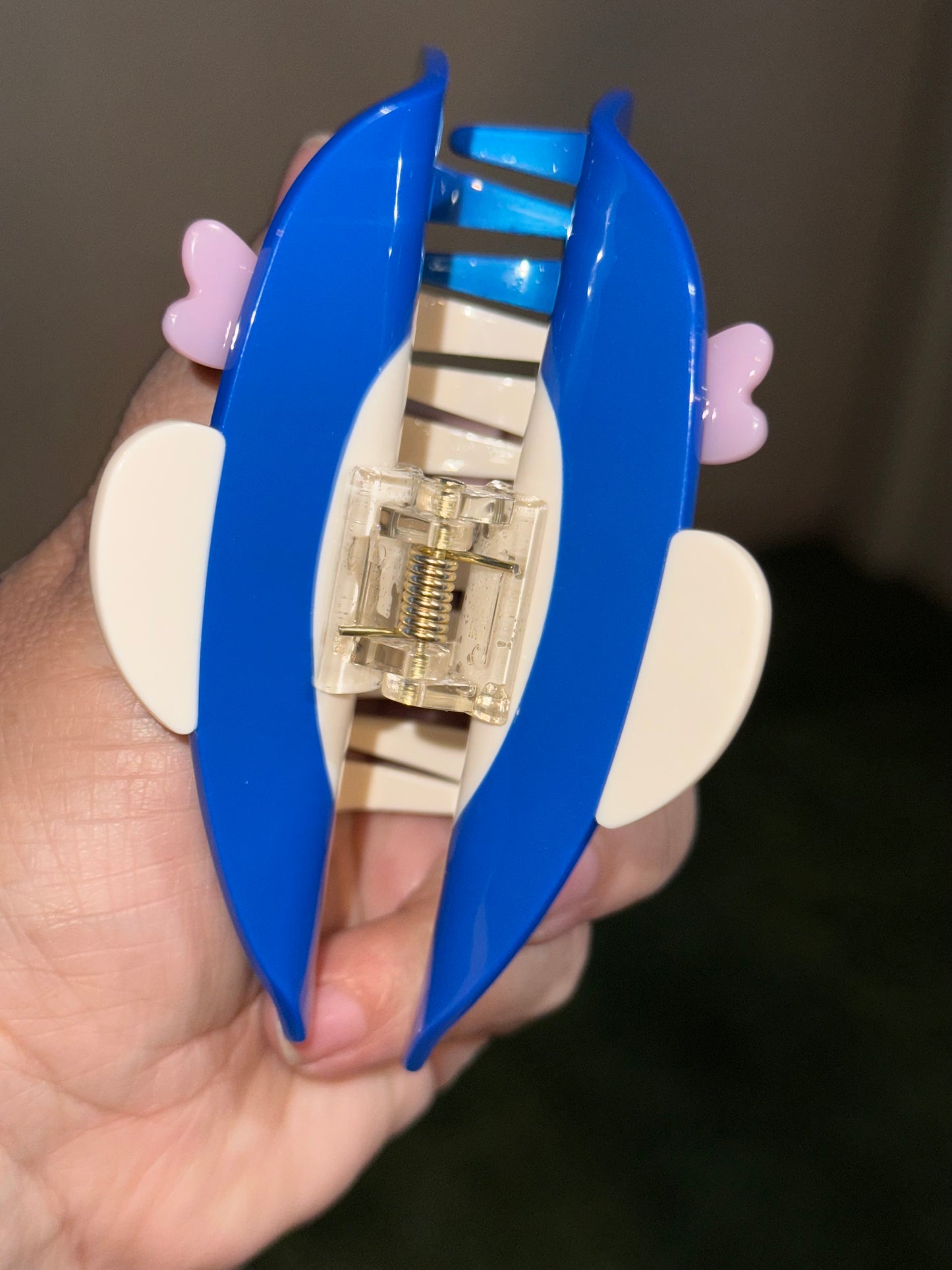 Coraline Claw Clip