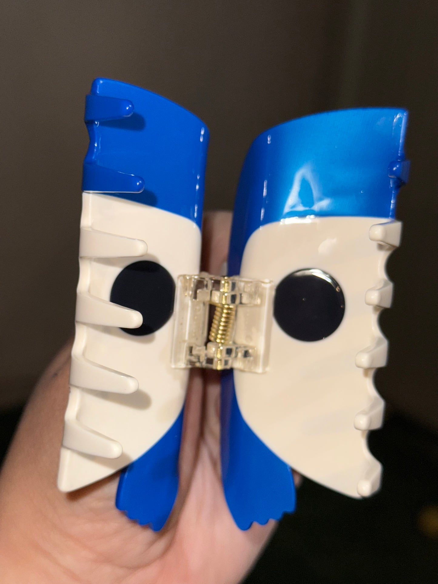 Coraline Claw Clip