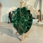 Turtle Claw Clip
