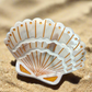 Sea Shell Claw Clip
