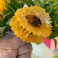 Sunflower Claw Clip