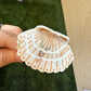 Sea Shell Claw Clip