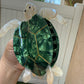 Turtle Claw Clip