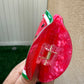 Watermelon Claw Clip